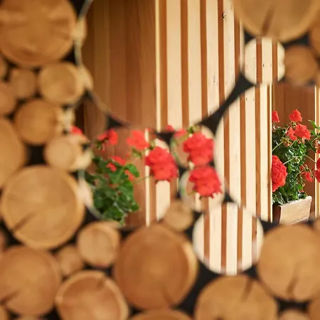 Nyaraló Vista Larix