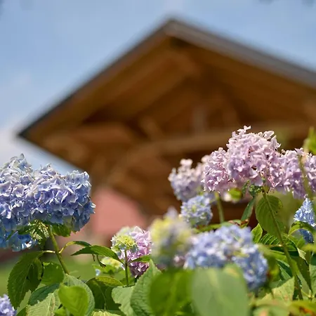 Vista Larix Nyaraló