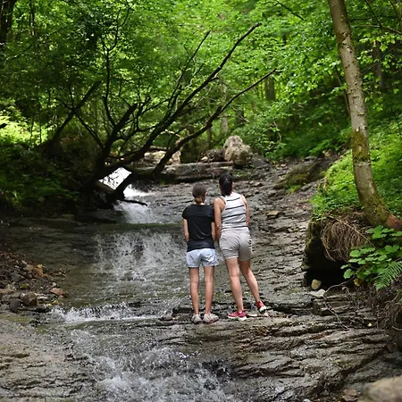 Vista Larix * Ljubno