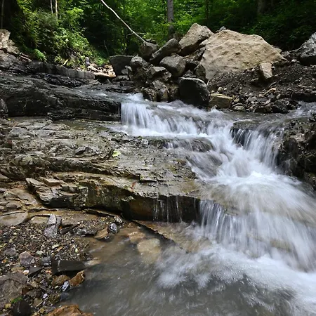 Vista Larix Počitniška hiša