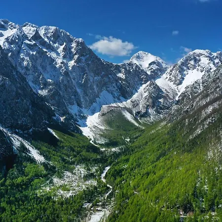 Vista Larix