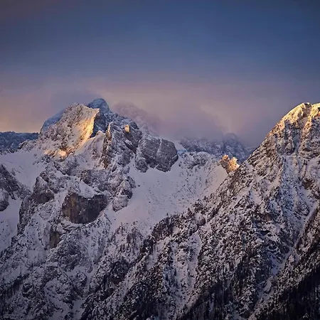Vista Larix Počitniška hiša