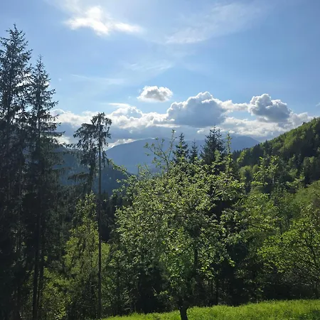 Vista Larix