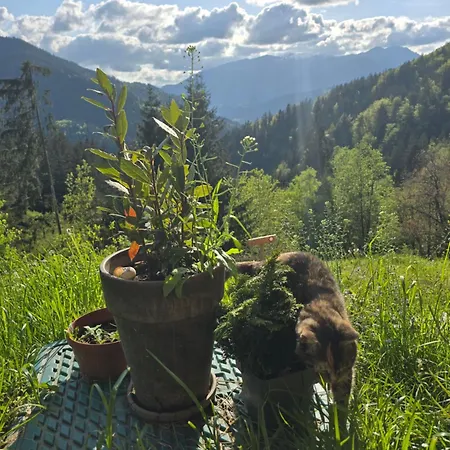 Vista Larix Feriehus