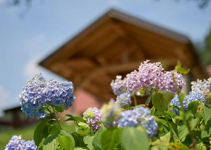 Vista Larix Vikendica