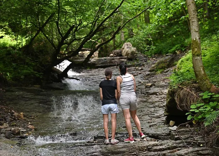 Vista Larix * Ljubno