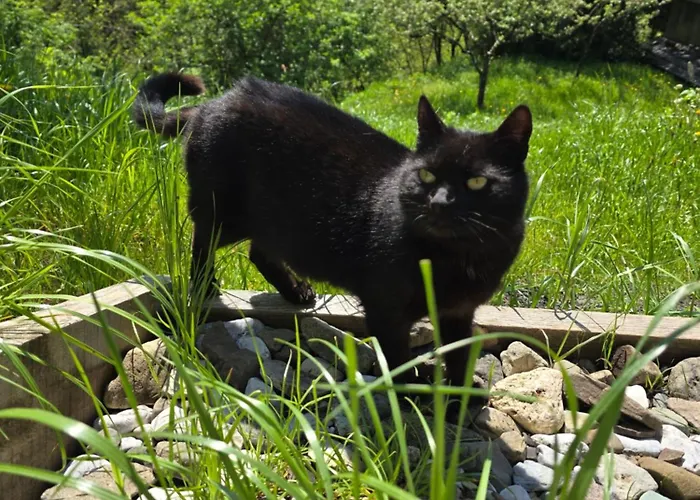 Vikendica Vista Larix