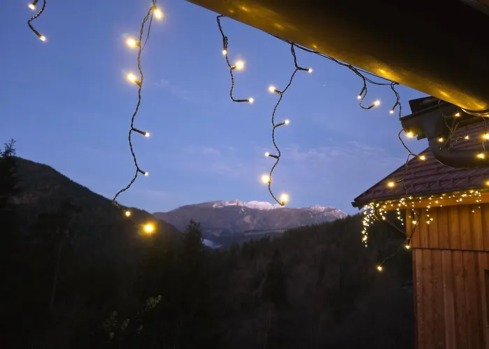 Vista Larix Vikendica